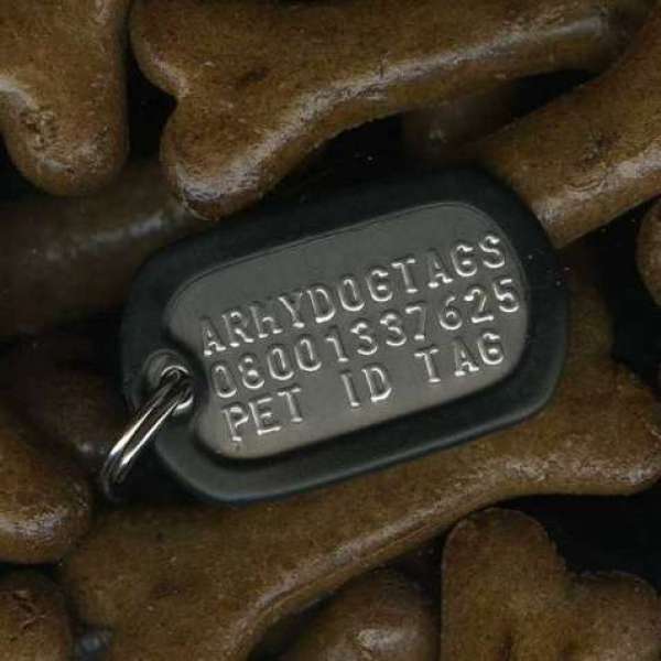 small dog tags